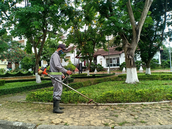 Bước 5: Tưới nước & hoàn thiện hệ thống chăm sóc