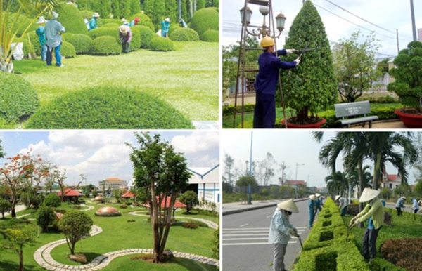 Bước 5: Chăm sóc, bảo dưỡng và theo dõi sau thi công