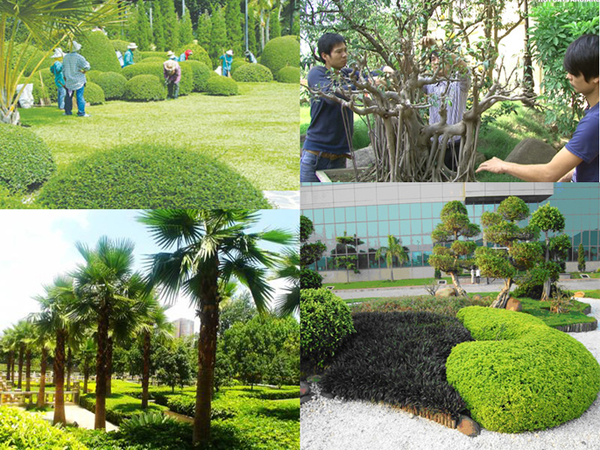 Hiệu quả vận hành