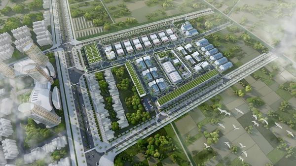 Cải tạo mảng xanh quy mô lớn bao quanh KCN 