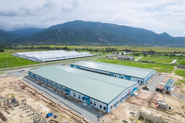 Cơ sở hạ tầng chưa cây xanh
