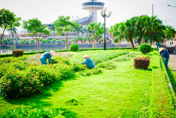 Năng lực triển khai chuyên nghiệp