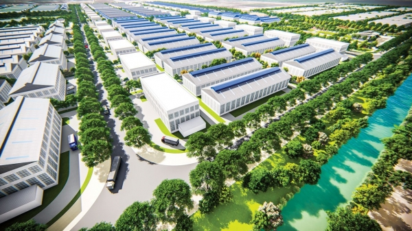 Hệ thống cây bóng mát