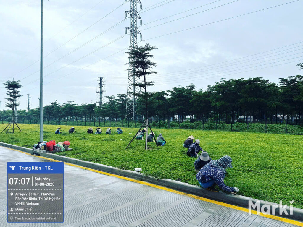 Chăm sóc hàng cây và thảm cỏ tại BW Phố Nối A