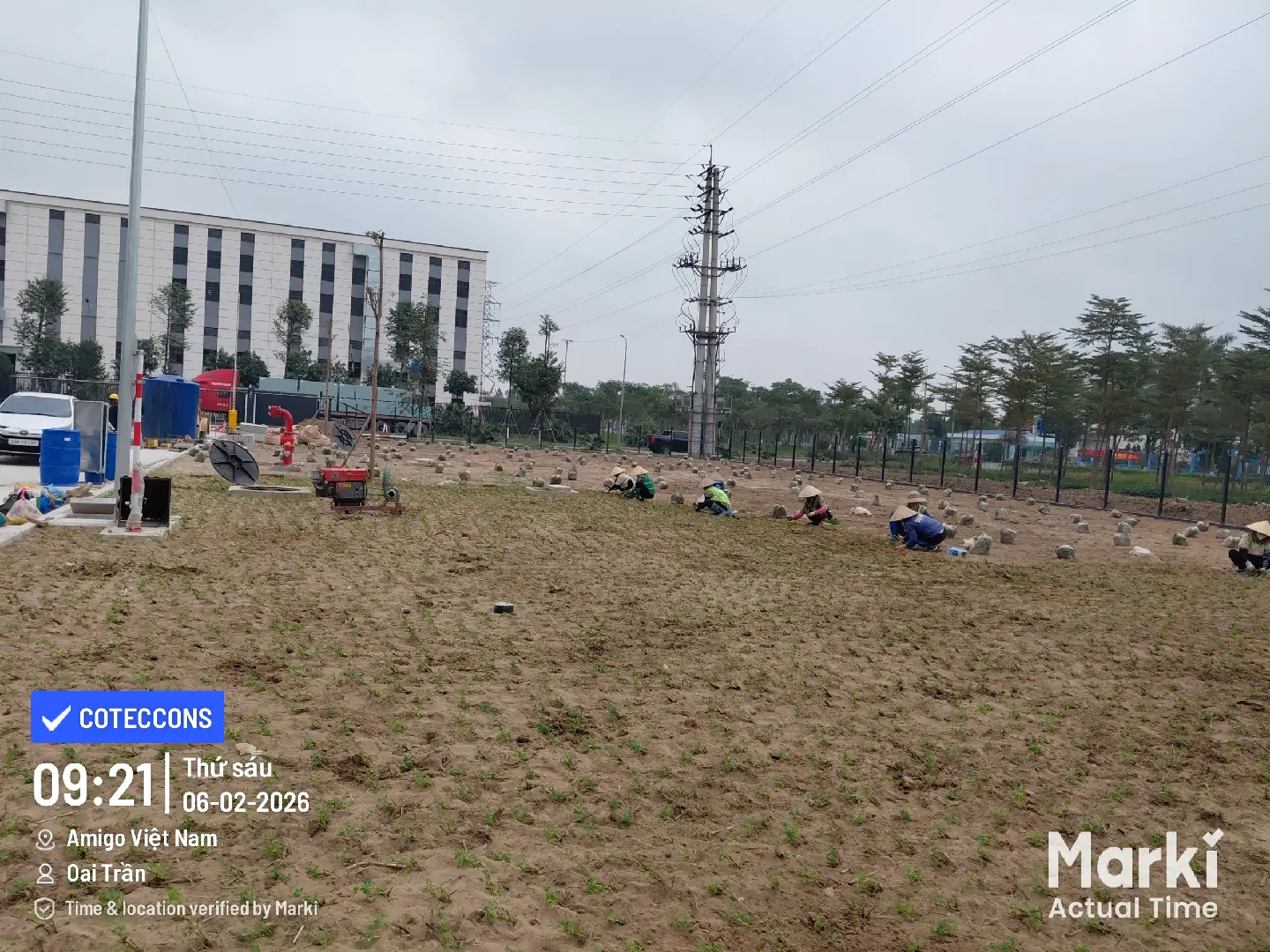 Trồng thảm phủ, hình thành các mảng xanh