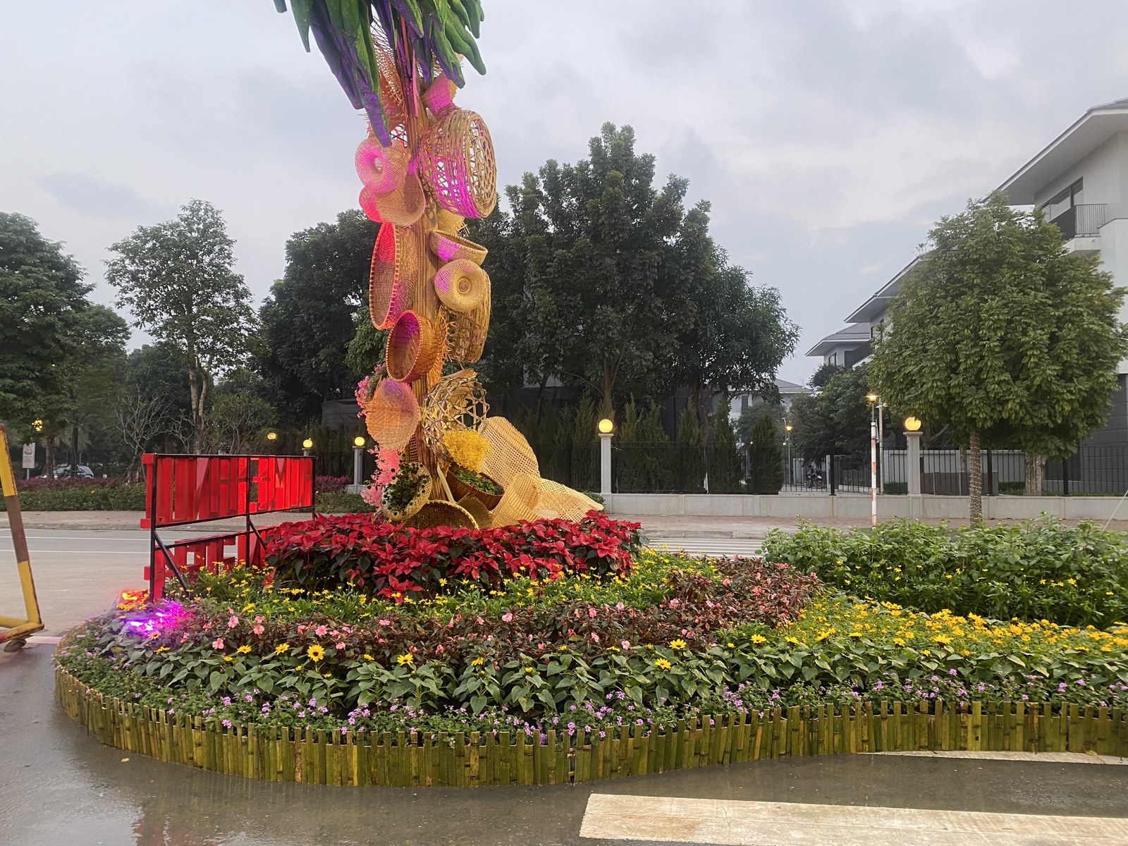 03/02/2024 – Đường hoa mở cửa đón mùa xuân