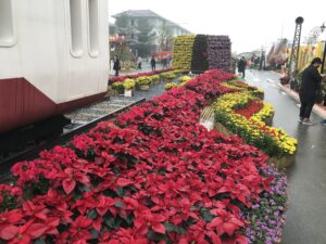 Thi công trang trí hoa đường hoa Home Hanoi Xuân 2022