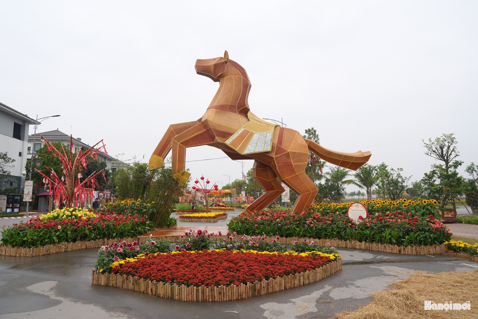 Diện mạo các cụm hoa sau thi công