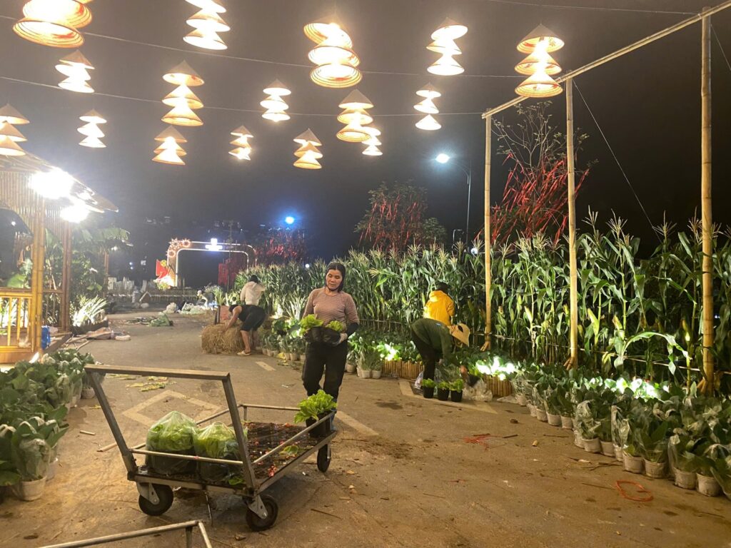 Thi công hoa buổi tối tại Mailand 2026
