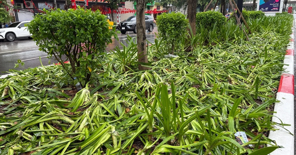 Những rủi ro khi lựa chọn nhà thầu cảnh quan không phù hợp