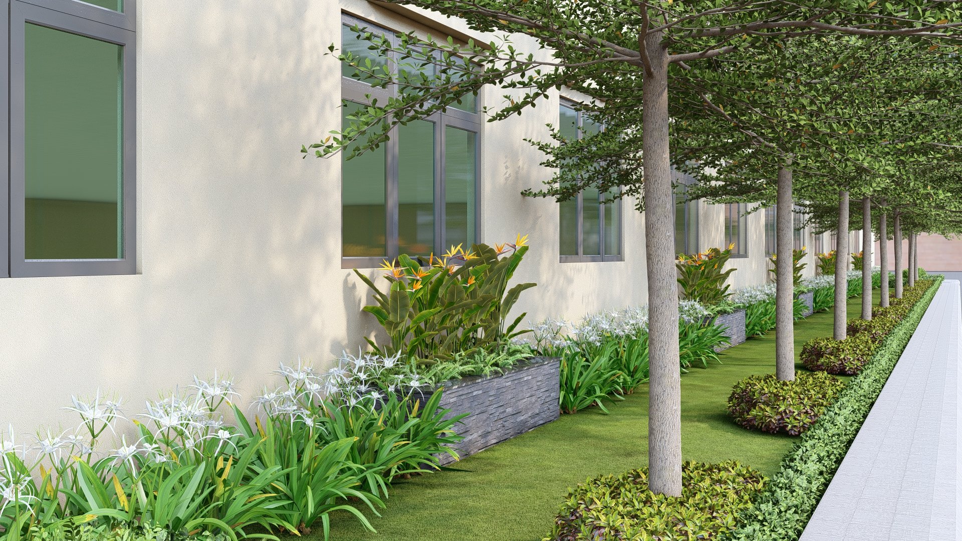 Phối cảnh phương án 2 – hàng cây tầng cao, thảm cỏ và bồn trang trí sát mặt nhà.