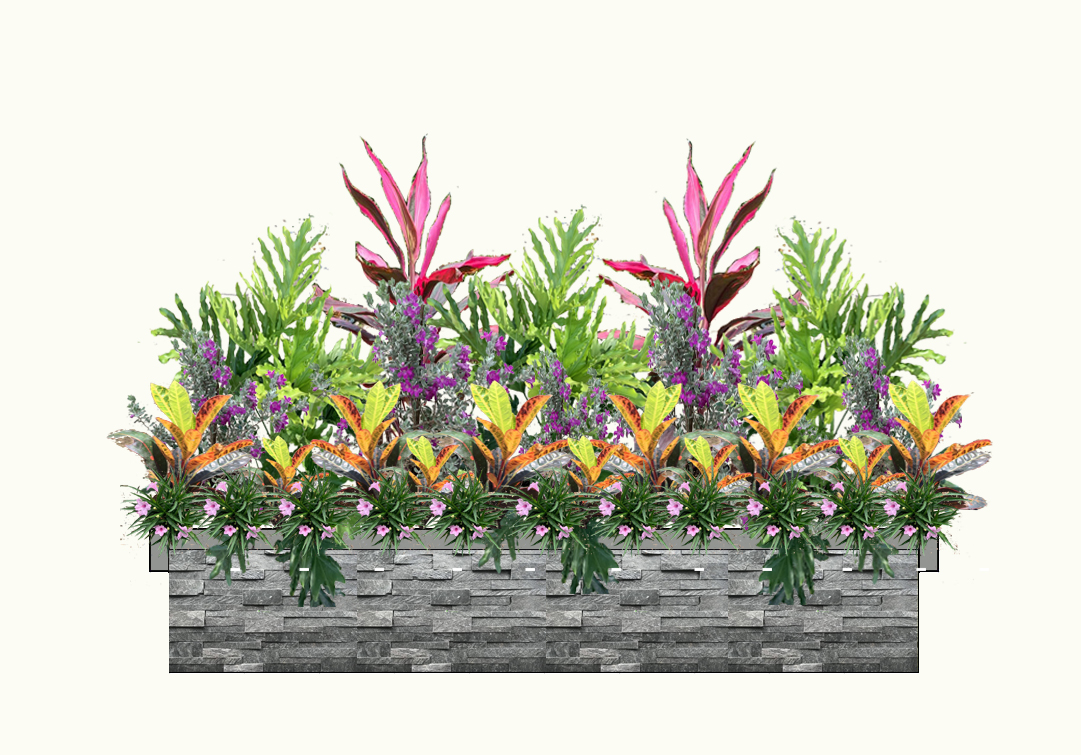Phối kết bồn cây trang trí