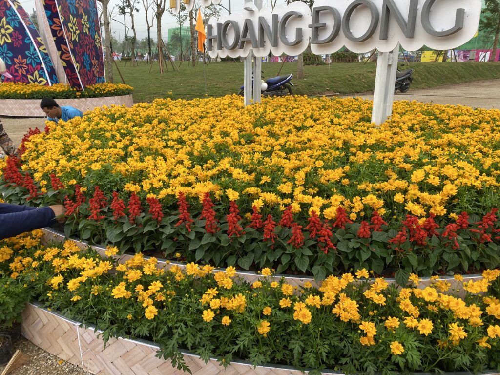 Mảng hoa vàng kết hợp dải hoa đỏ ở cụm trang trí trung tâm.