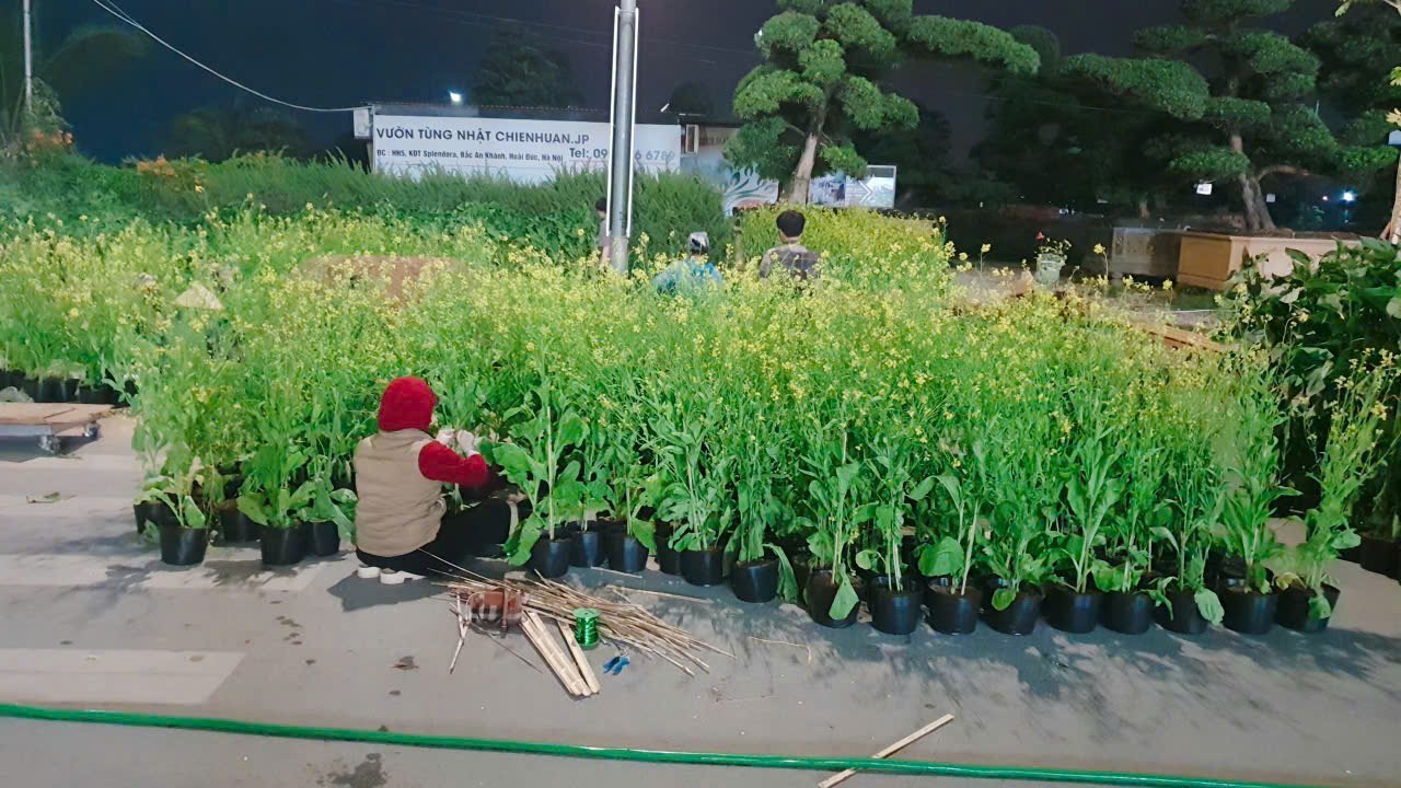 Chuẩn bị từng cụm hoa tại hiện trường