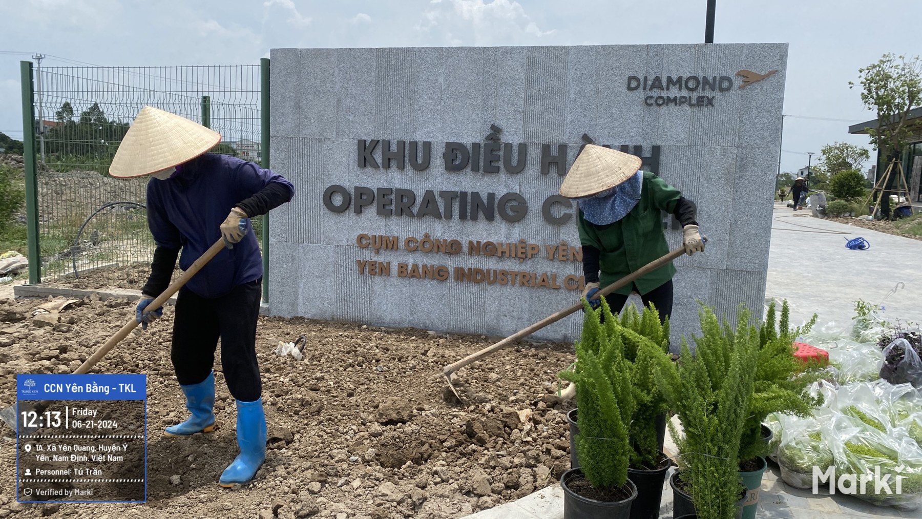 Chuẩn bị bồn cây trước biển đón