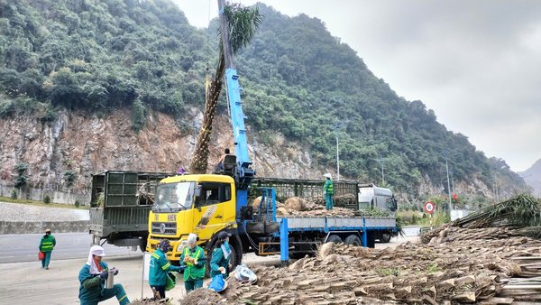 Thi công trọn gói, tối ưu tiến độ