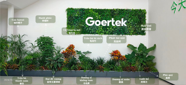 Goertek