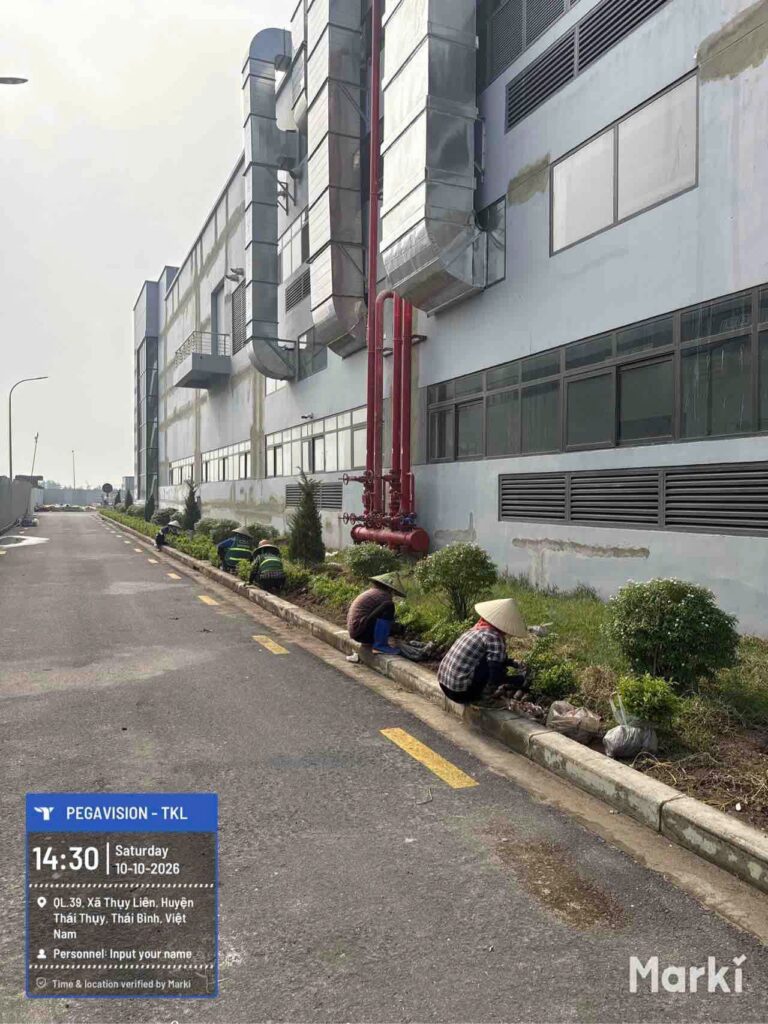 Thi công cây xanh cạnh nhà xưởng Pegavision giai đoạn 2