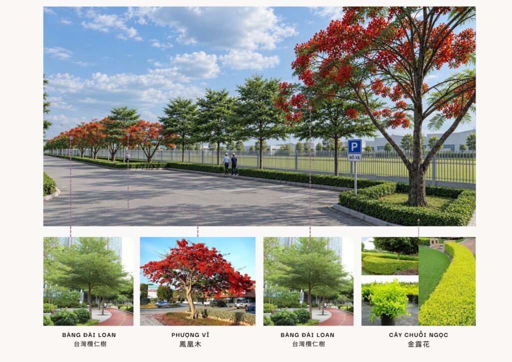 Phối cảnh hàng cây cảnh quan Pegavision