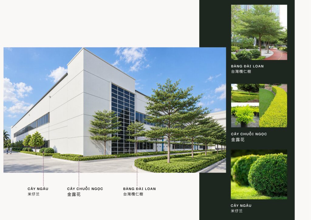 Phối cảnh cảnh quan cạnh nhà xưởng Pegavision