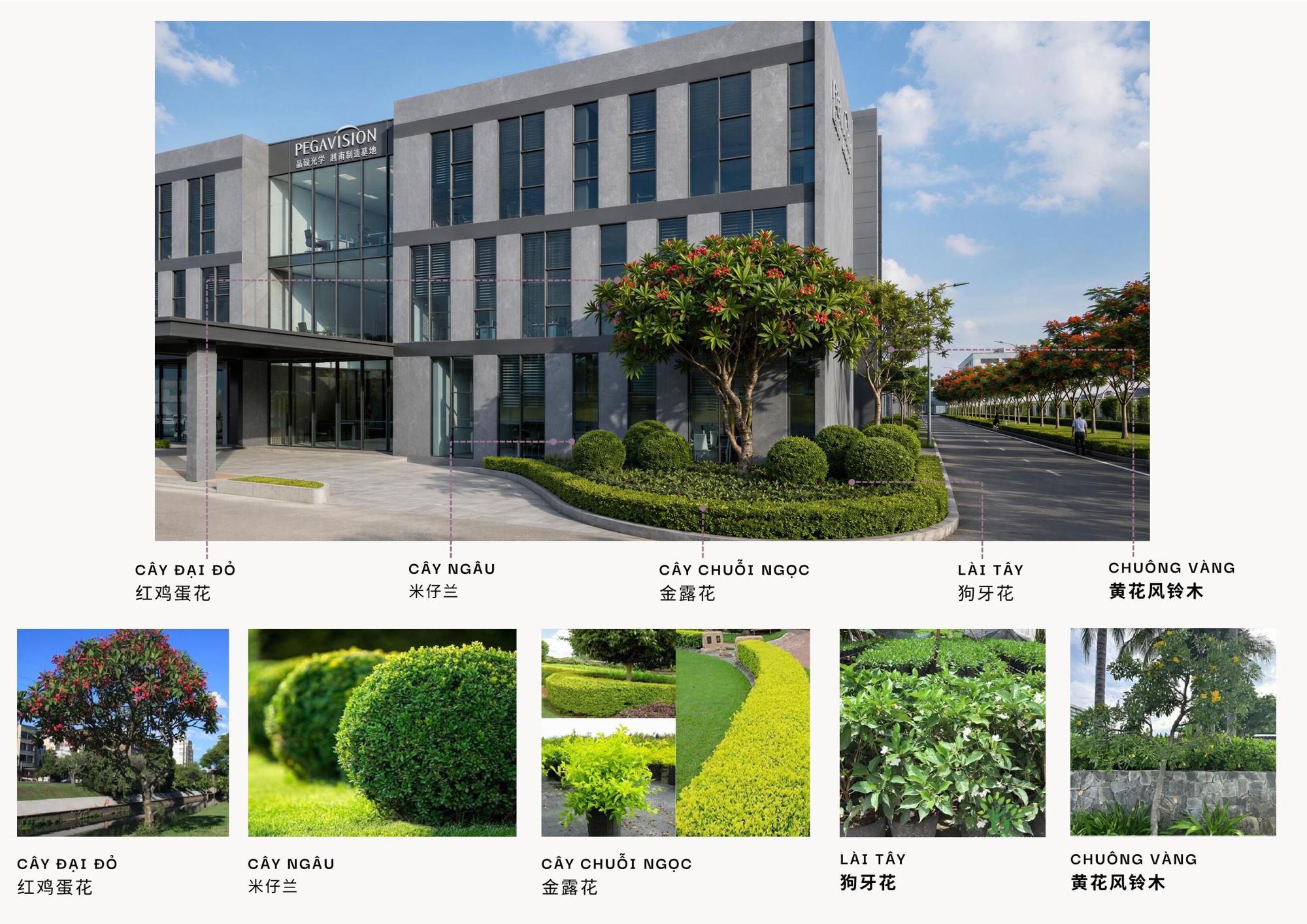 Tiếp tục hoàn thiện phương án