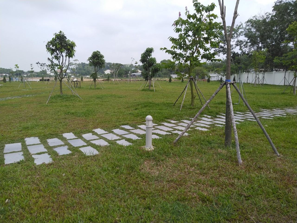 Thảm cỏ KCN