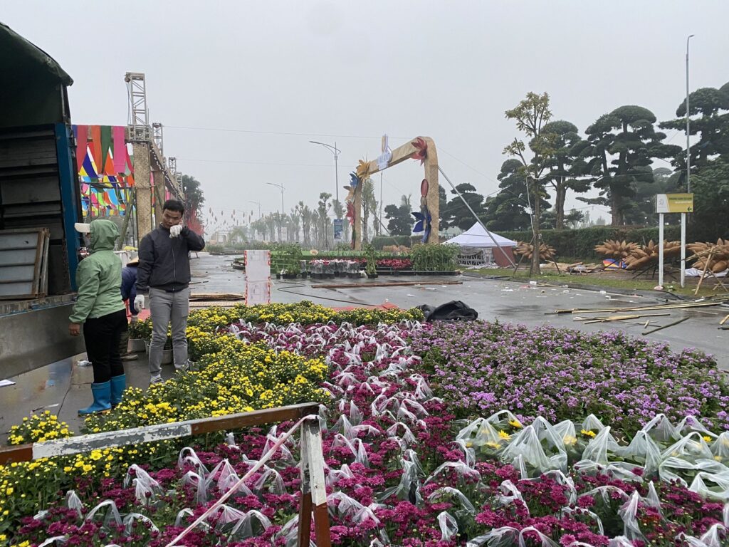 TKL tập kết cây hoa phục vụ Home Hanoi Xuân 2024